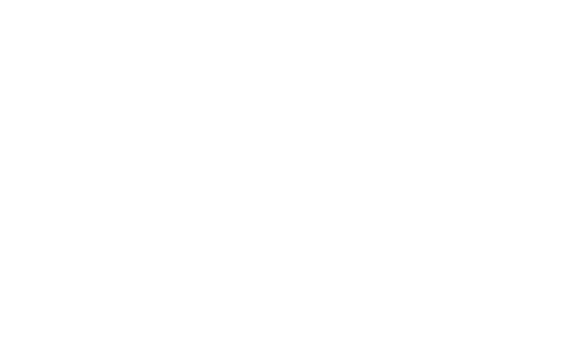 Camperfuchs