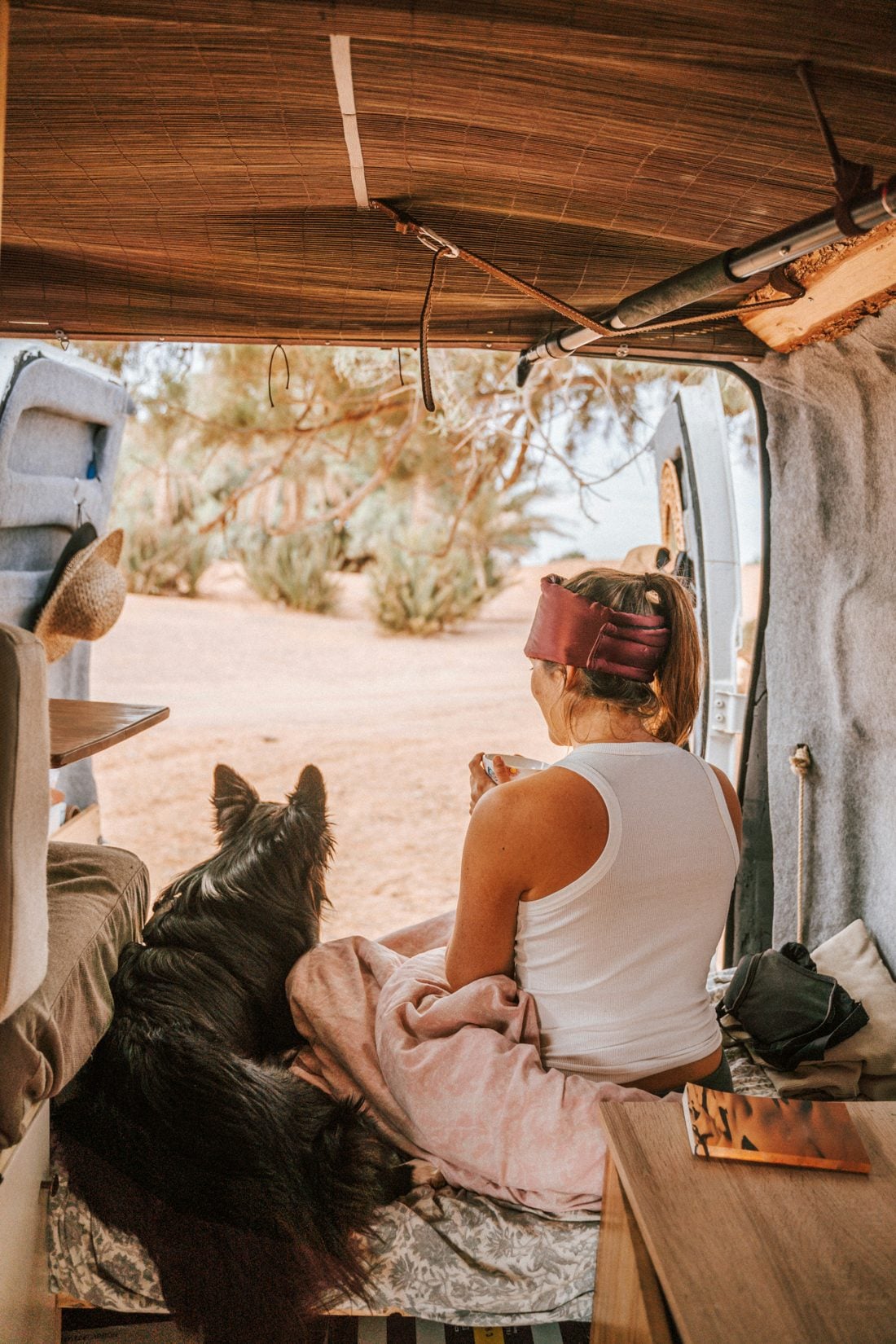 Wohnmobil mit Hund mieten 2 Hund entspannt im Wohnmobil – Reisen mit Hund